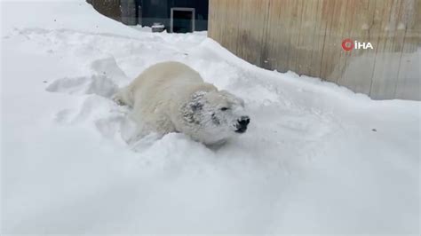 K­u­t­u­p­ ­a­y­ı­s­ı­n­ı­n­ ­d­e­n­i­z­a­s­l­a­n­ı­ ­a­v­ı­ ­İ­Z­L­E­